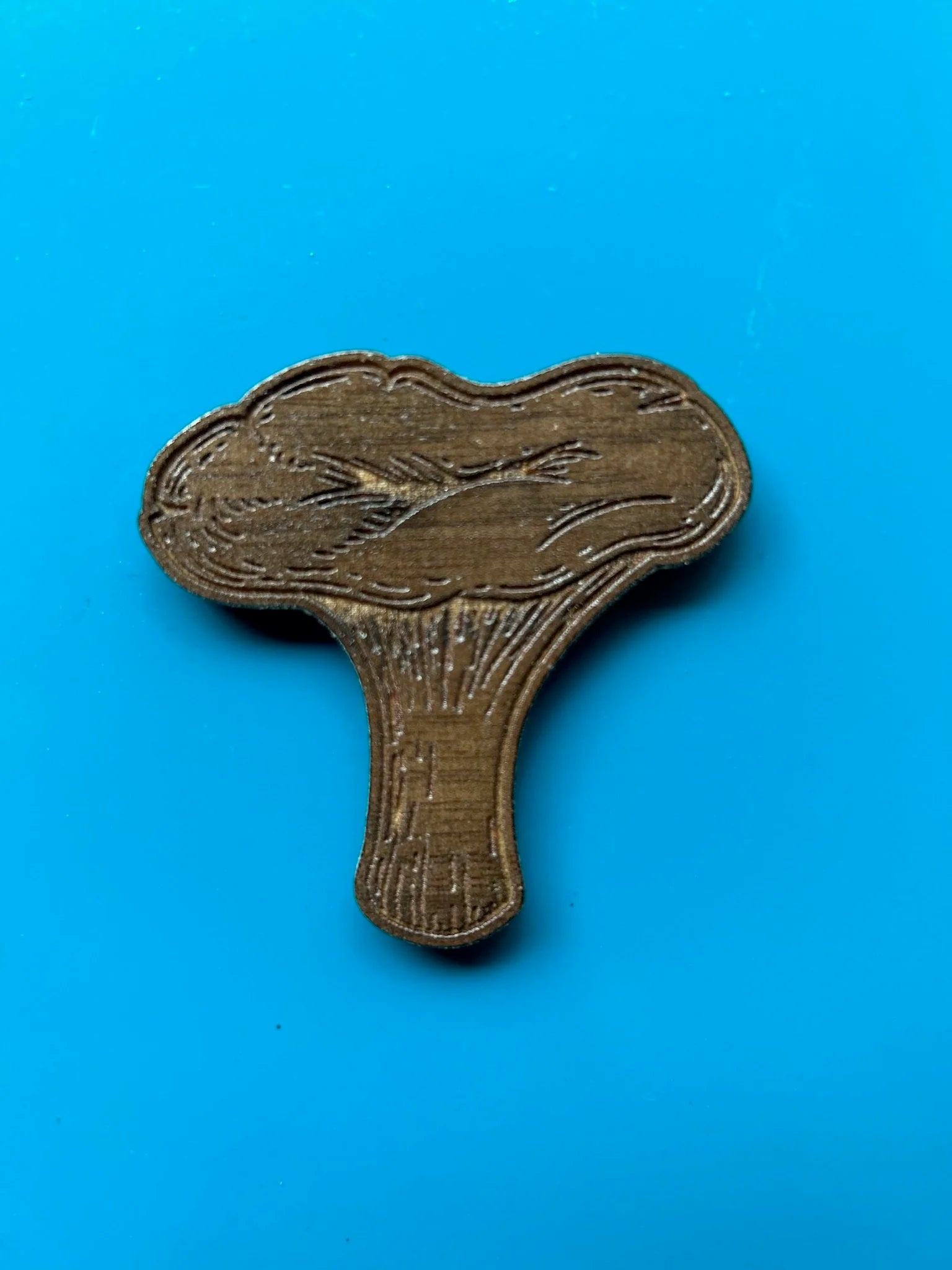 Chanterelle Mushroom