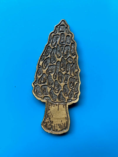Morel Mushroom